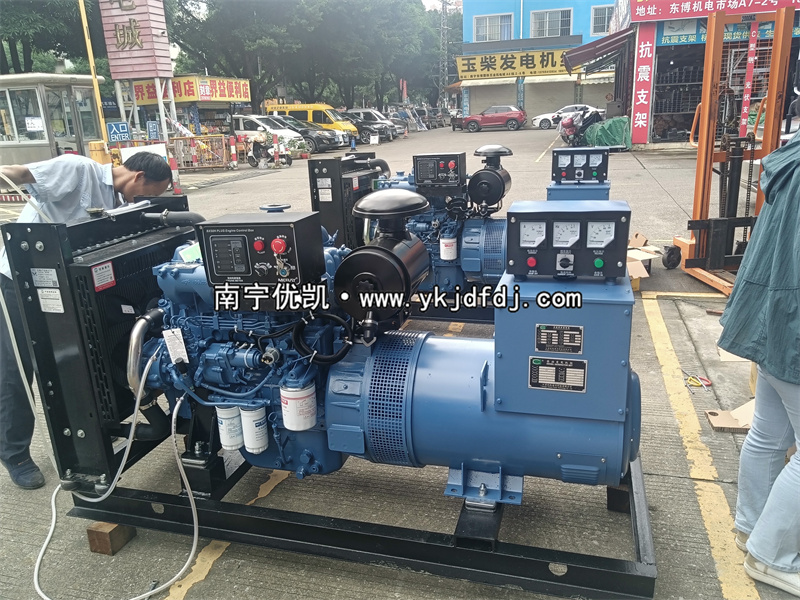 2024年5月31日，兩臺50KW玉柴發(fā)電機(jī)組試機(jī)發(fā)貨南寧某養(yǎng)殖場